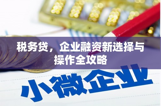 建宁税务贷，企业融资新选择与操作全攻略