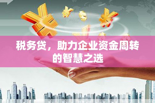 建宁税务贷，助力企业资金周转的智慧之选