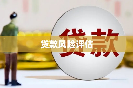 建宁贷款风险评估