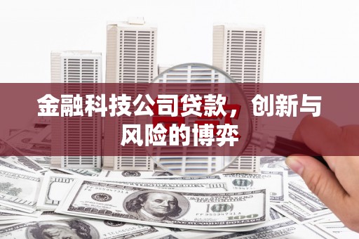 建宁金融科技公司贷款，创新与风险的博弈