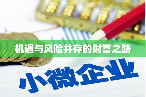 建宁机遇与风险并存的财富之路
