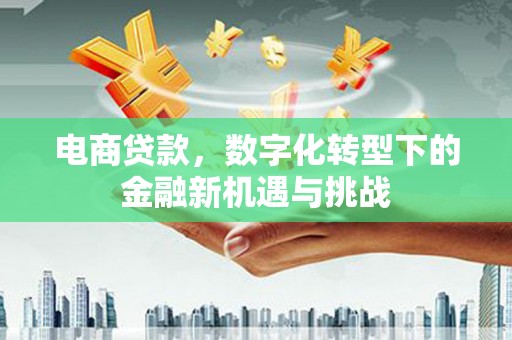 建宁电商贷款，数字化转型下的金融新机遇与挑战