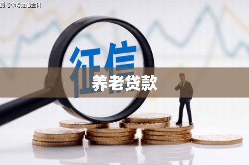 建宁养老贷款