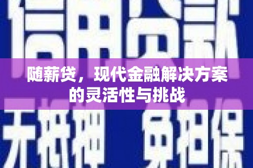 建宁随薪贷，现代金融解决方案的灵活性与挑战