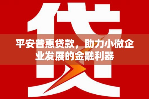 建宁平安普惠贷款，助力小微企业发展的金融利器