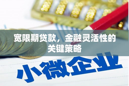 建宁宽限期贷款，金融灵活性的关键策略