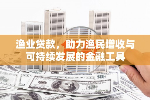 建宁渔业贷款，助力渔民增收与可持续发展的金融工具