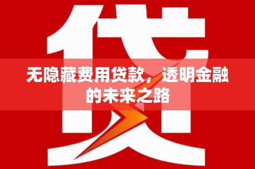 建宁无隐藏费用贷款，透明金融的未来之路
