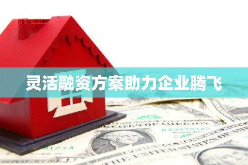 建宁灵活融资方案助力企业腾飞