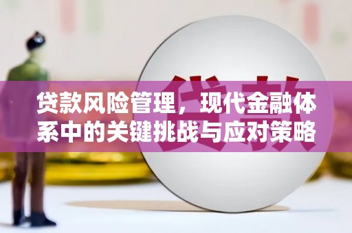 建宁贷款风险管理，现代金融体系中的关键挑战与应对策略