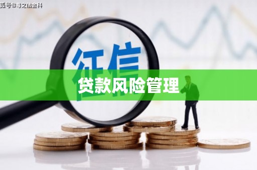 建宁贷款风险管理