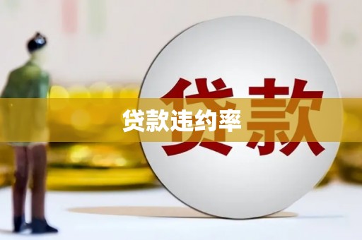 建宁贷款违约率