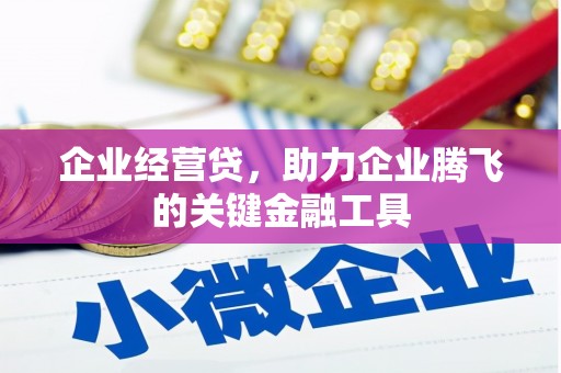 建宁企业经营贷，助力企业腾飞的关键金融工具
