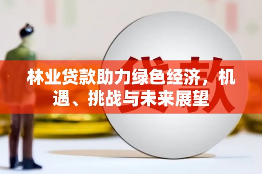 建宁林业贷款助力绿色经济，机遇、挑战与未来展望
