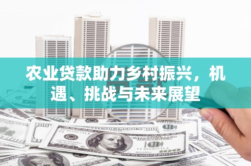 建宁农业贷款助力乡村振兴，机遇、挑战与未来展望
