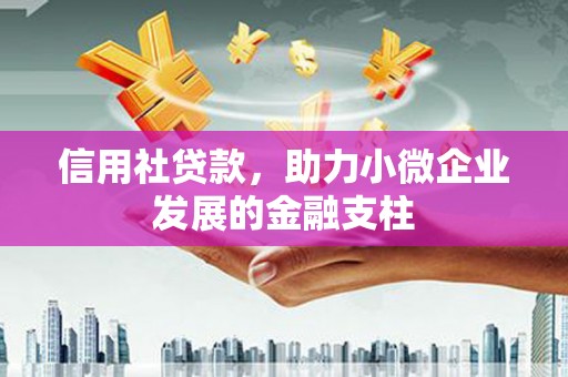 建宁信用社贷款，助力小微企业发展的金融支柱