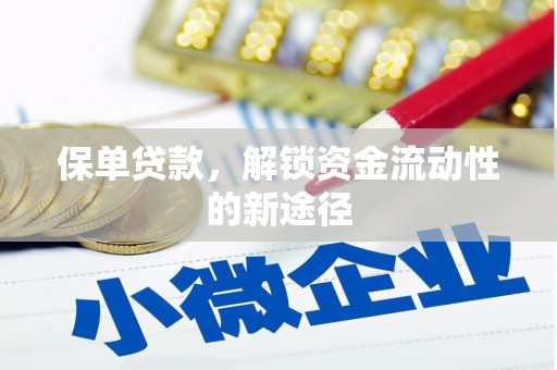建宁保单贷款，解锁资金流动性的新途径