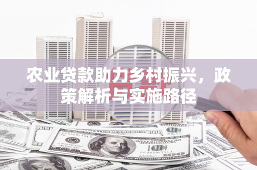 建宁农业贷款助力乡村振兴，政策解析与实施路径