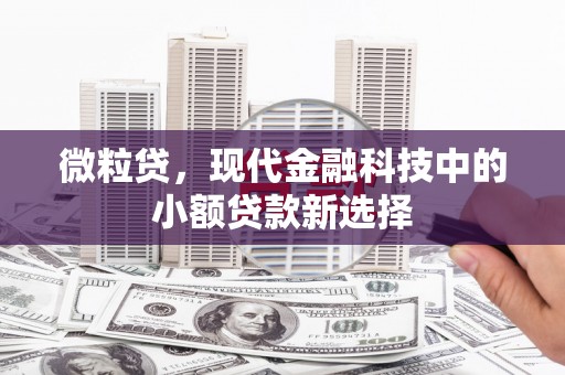 建宁微粒贷，现代金融科技中的小额贷款新选择