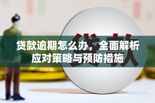 建宁贷款逾期怎么办，全面解析应对策略与预防措施