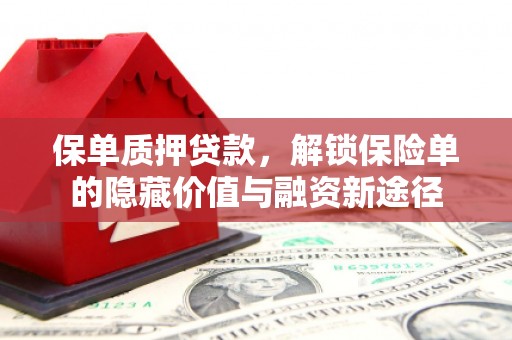 建宁保单质押贷款，解锁保险单的隐藏价值与融资新途径