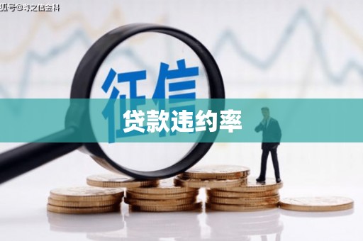建宁贷款违约率