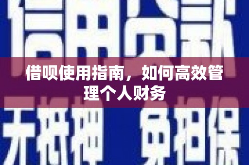 建宁借呗使用指南，如何高效管理个人财务