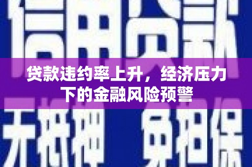 建宁贷款违约率上升，经济压力下的金融风险预警