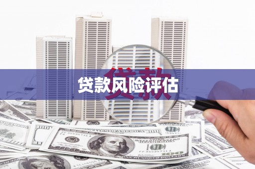 建宁贷款风险评估