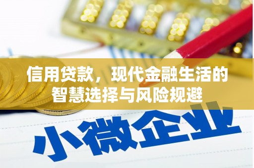 建宁信用贷款，现代金融生活的智慧选择与风险规避