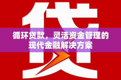 建宁循环贷款，灵活资金管理的现代金融解决方案