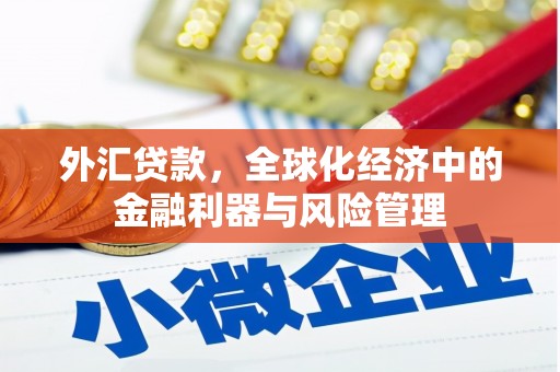建宁外汇贷款，全球化经济中的金融利器与风险管理