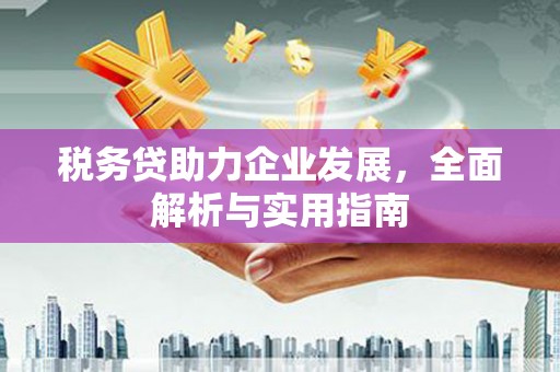 建宁税务贷助力企业发展，全面解析与实用指南