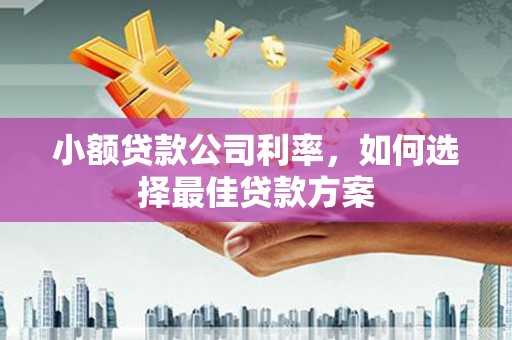 建宁小额贷款公司利率，如何选择最佳贷款方案