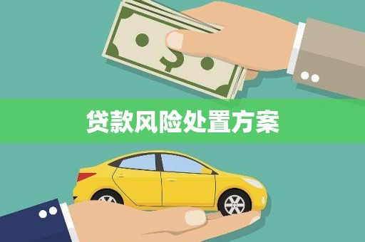 建宁贷款风险处置方案