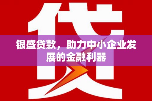 建宁银盛贷款，助力中小企业发展的金融利器