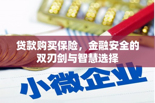 建宁贷款购买保险，金融安全的双刃剑与智慧选择