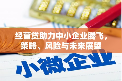 建宁经营贷助力中小企业腾飞，策略、风险与未来展望