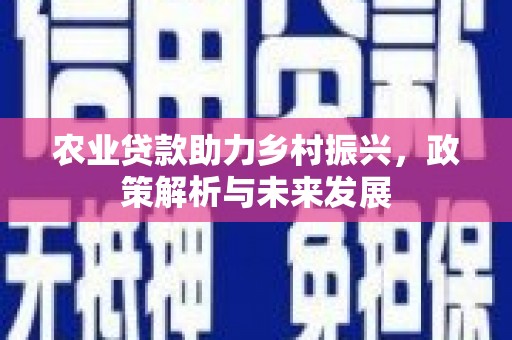建宁农业贷款助力乡村振兴，政策解析与未来发展