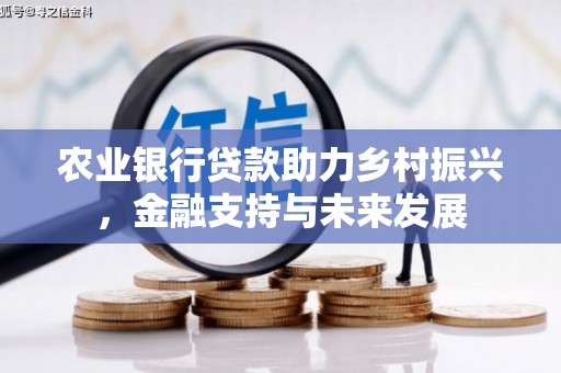 建宁农业银行贷款助力乡村振兴，金融支持与未来发展
