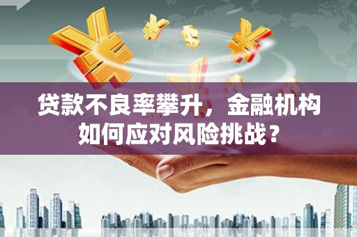 建宁贷款不良率攀升，金融机构如何应对风险挑战？