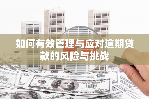 建宁如何有效管理与应对逾期贷款的风险与挑战