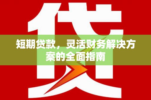 建宁短期贷款，灵活财务解决方案的全面指南