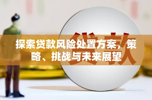 建宁探索贷款风险处置方案，策略、挑战与未来展望