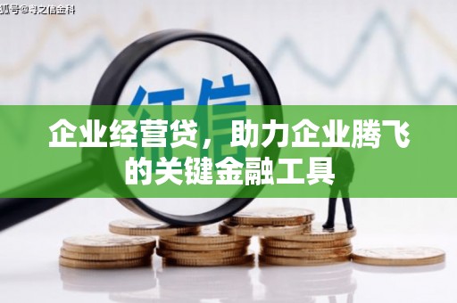 建宁企业经营贷，助力企业腾飞的关键金融工具