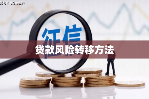 建宁贷款风险转移方法