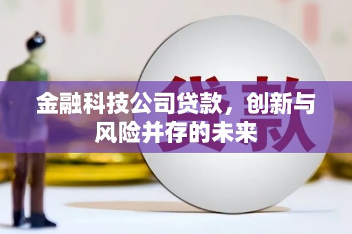 建宁金融科技公司贷款，创新与风险并存的未来