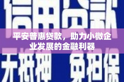 建宁平安普惠贷款，助力小微企业发展的金融利器
