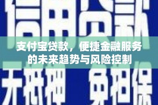 建宁支付宝贷款，便捷金融服务的未来趋势与风险控制