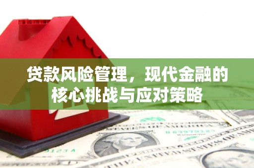 建宁贷款风险管理，现代金融的核心挑战与应对策略